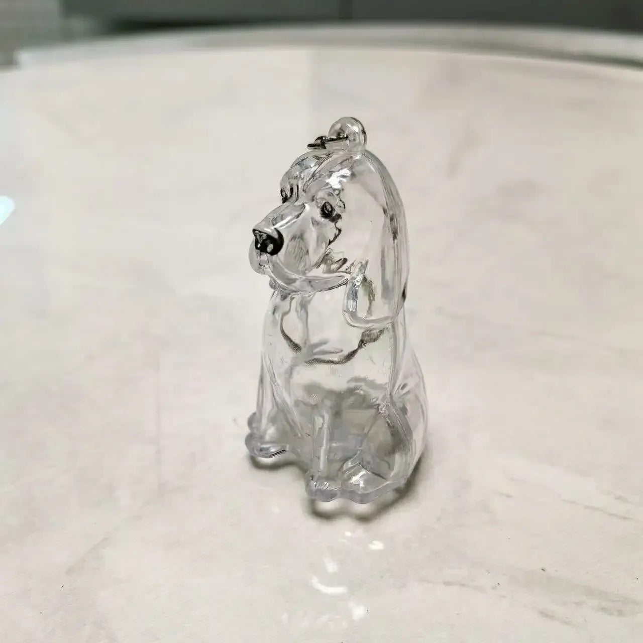 Dog Cat Hair Keychain Fur Container To Fill with Key Ring Accessories Capsule Pendant Storage Bag Pet Put in Keepsake Poodle