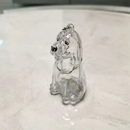 Dog Cat Hair Keychain Fur Container To Fill with Key Ring Accessories Capsule Pendant Storage Bag Pet Put in Keepsake Poodle