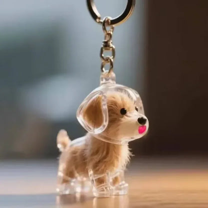 Dog Cat Hair Keychain Fur Container To Fill with Key Ring Accessories Capsule Pendant Storage Bag Pet Put in Keepsake Poodle