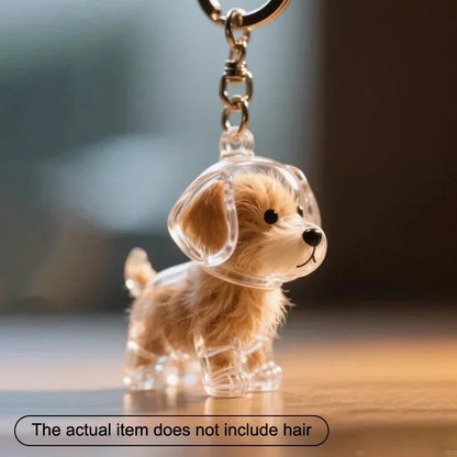 Dog Cat Hair Keychain Fur Container To Fill with Key Ring Accessories Capsule Pendant Storage Bag Pet Put in Keepsake Poodle