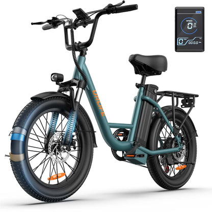 URLIFE E20 ,20-inch Fat Tire city ebike,adult E-bike 250W 48V 13Ah battery commute Electric Bike