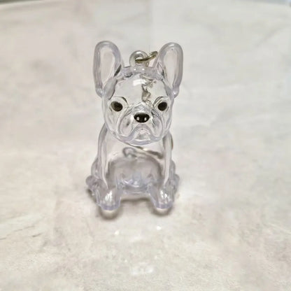 Dog Cat Hair Keychain Fur Container To Fill with Key Ring Accessories Capsule Pendant Storage Bag Pet Put in Keepsake Poodle