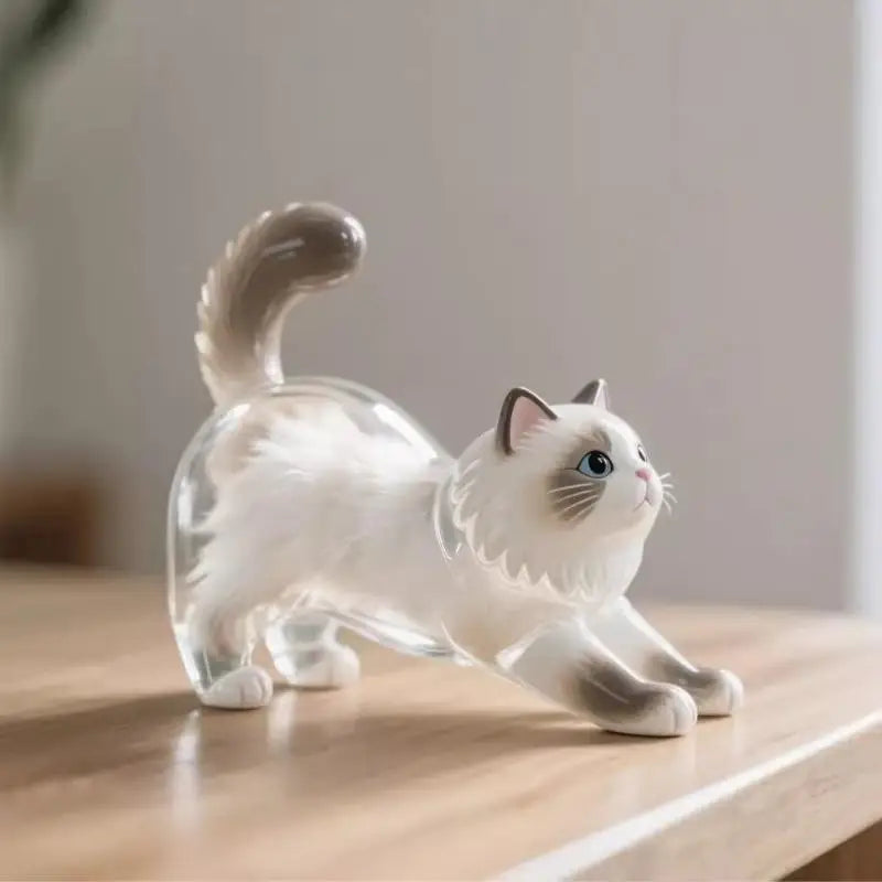 Cute Cat Hair Storage Keychain Bag Pendant Transparent Pet Fur Keepsake Capsule Souvenir Collection Gift Decoration Accessories