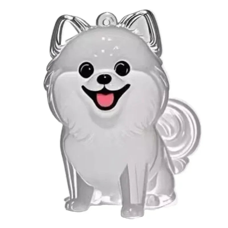 Dog Cat Hair Keychain Fur Container To Fill with Key Ring Accessories Capsule Pendant Storage Bag Pet Put in Keepsake Poodle